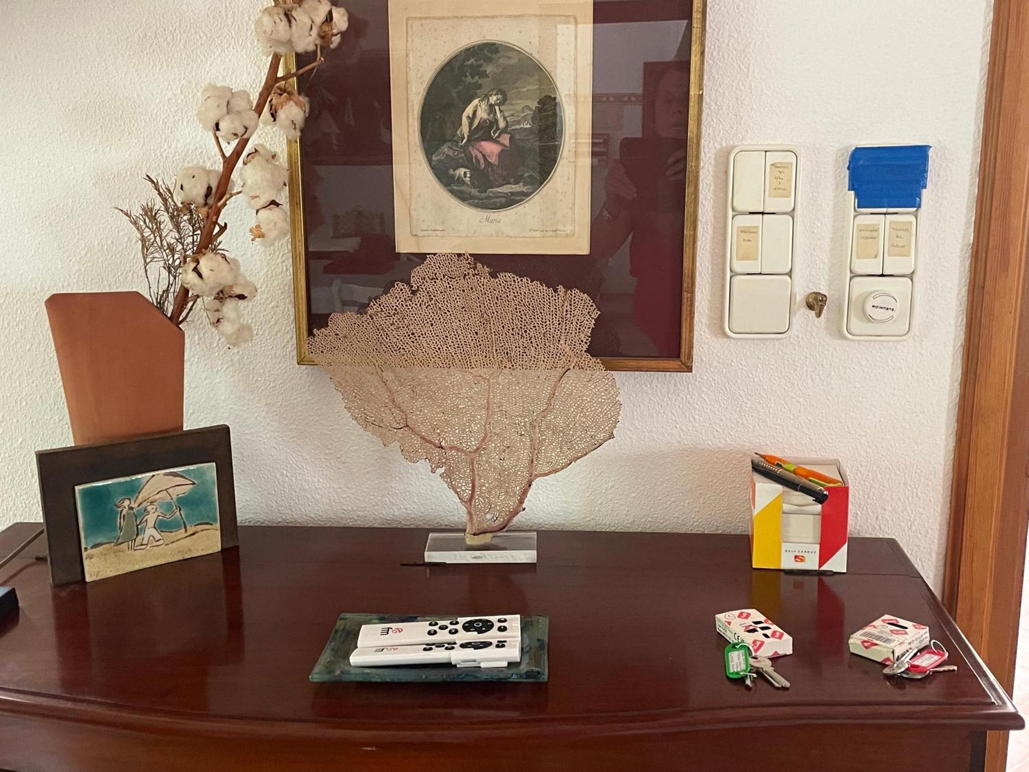 Casa Con Alma