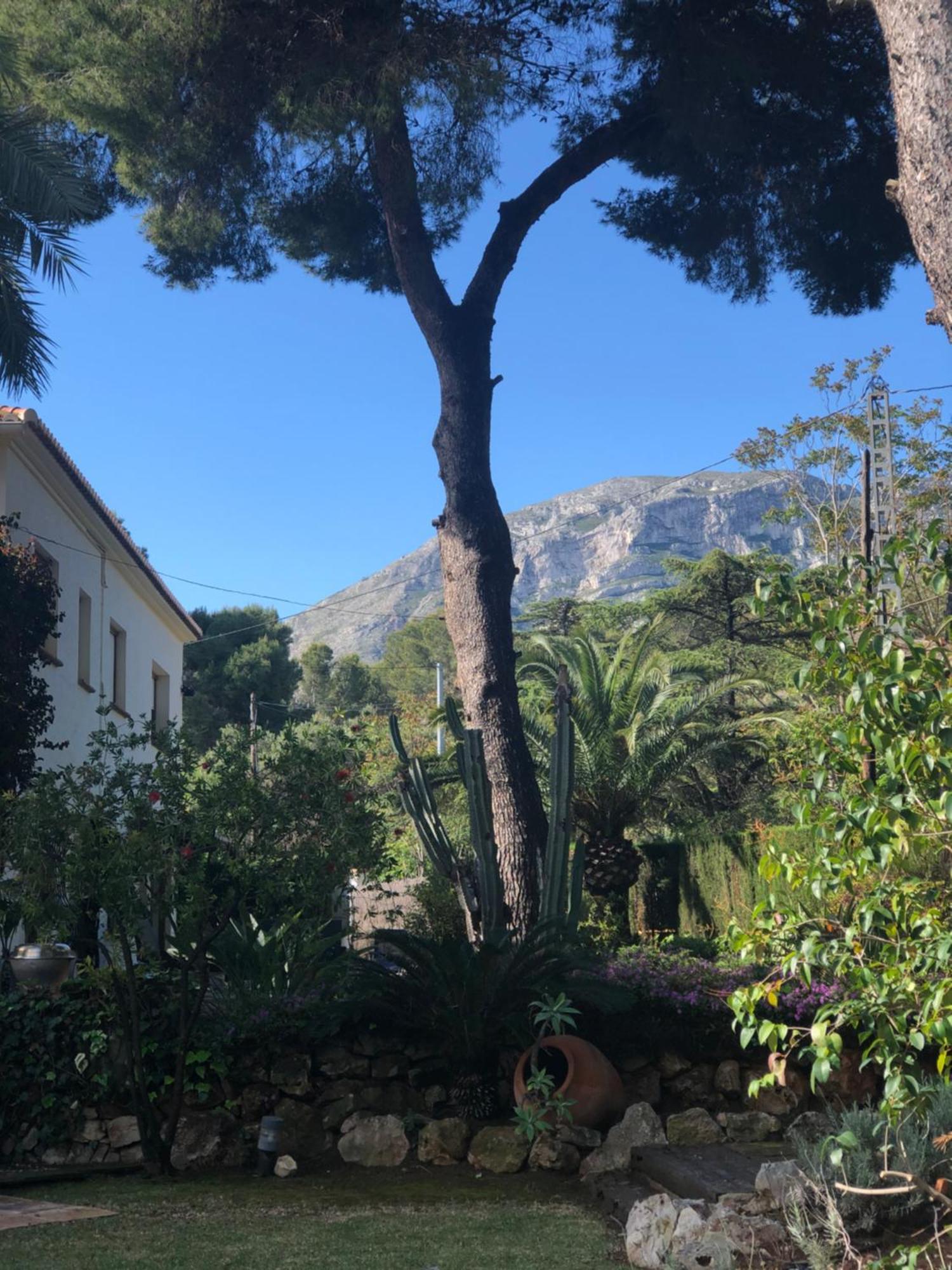 Casa Con Alma Villa