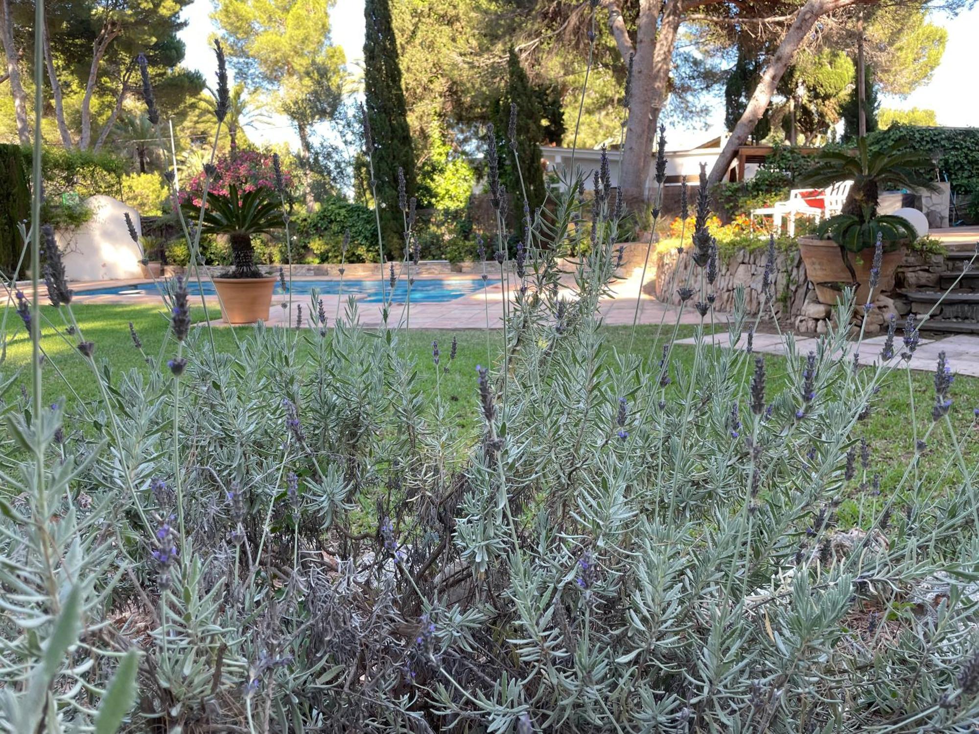 Villa Casa Con Alma Dénia